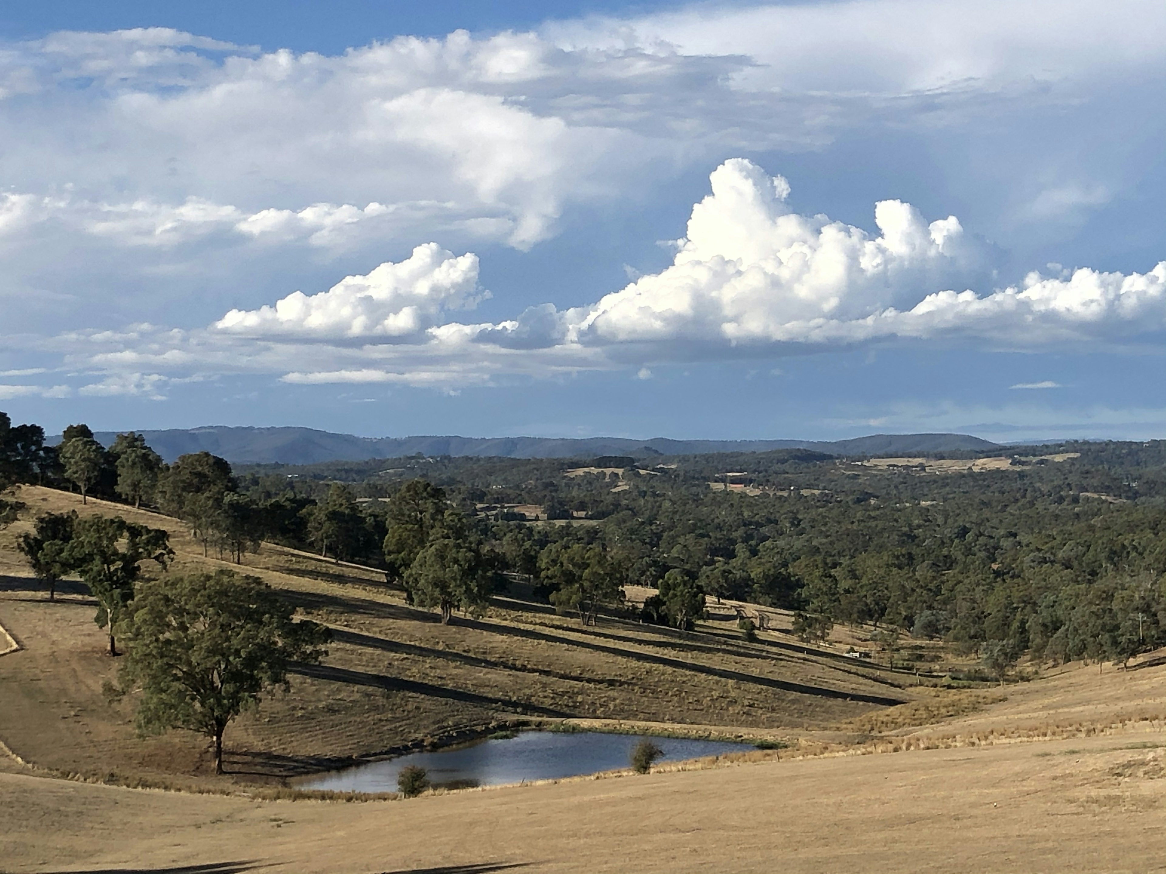 A farm dam, gum trees and dry fields in Victoria’s Yarra Valley.