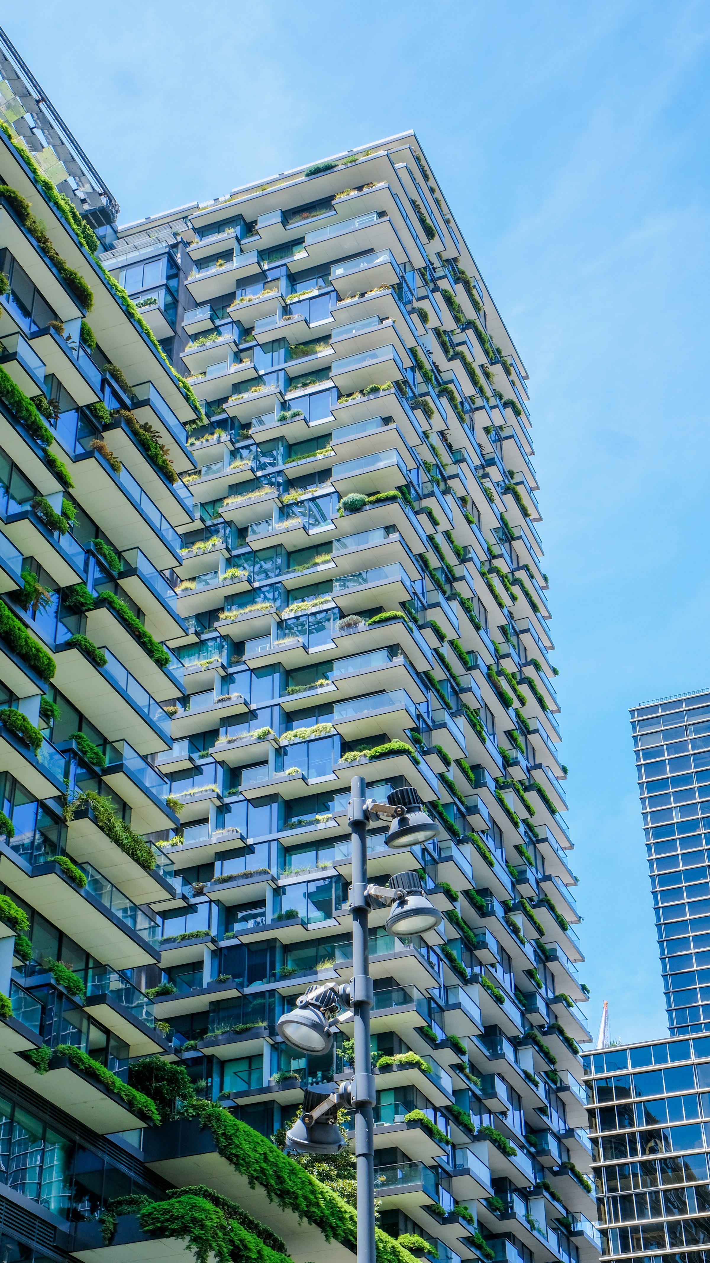 Apartment buildings with balconies and greenery in Sydney.